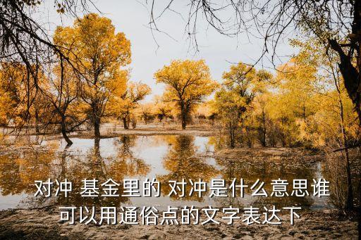  對沖 基金里的 對沖是什么意思誰可以用通俗點的文字表達(dá)下