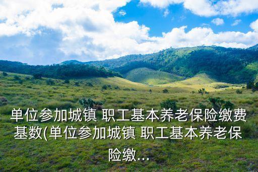 單位參加城鎮(zhèn) 職工基本養(yǎng)老保險繳費(fèi)基數(shù)(單位參加城鎮(zhèn) 職工基本養(yǎng)老保險繳...