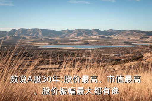 數(shù)說(shuō)A股30年:股價(jià)最高、市值最高、股價(jià)振幅最大都有誰(shuí)