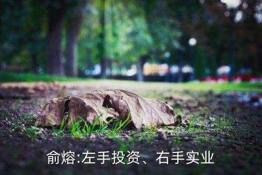 俞熔:左手投資、右手實業(yè)