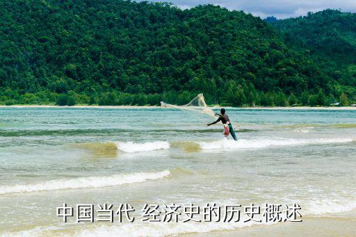 中國經(jīng)濟(jì)書