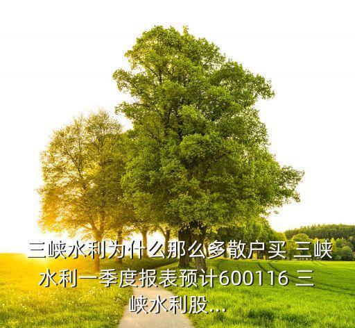  三峽水利為什么那么多散戶(hù)買(mǎi) 三峽水利一季度報(bào)表預(yù)計(jì)600116 三峽水利股...