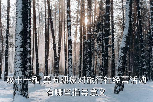 雙十一和 黑五現(xiàn)象對(duì)旅行社經(jīng)營(yíng)活動(dòng)有哪些指導(dǎo)意義