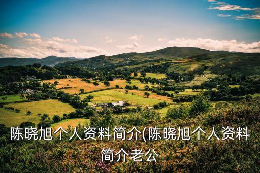 2013年度中國經濟風云人物,寶豐董事長獲年度經濟風云人物