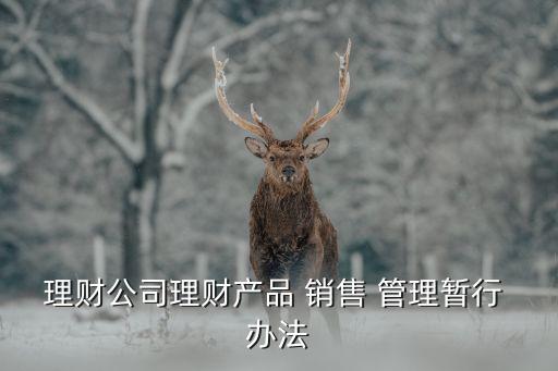 理財(cái)公司理財(cái)產(chǎn)品 銷(xiāo)售 管理暫行 辦法