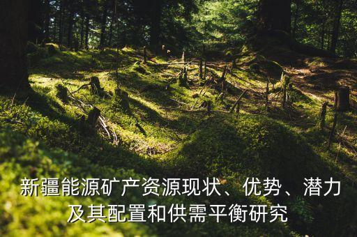  新疆能源礦產(chǎn)資源現(xiàn)狀、優(yōu)勢(shì)、潛力及其配置和供需平衡研究