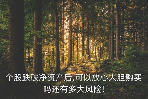 個股跌破凈資產(chǎn)后,可以放心大膽購買嗎還有多大風(fēng)險!