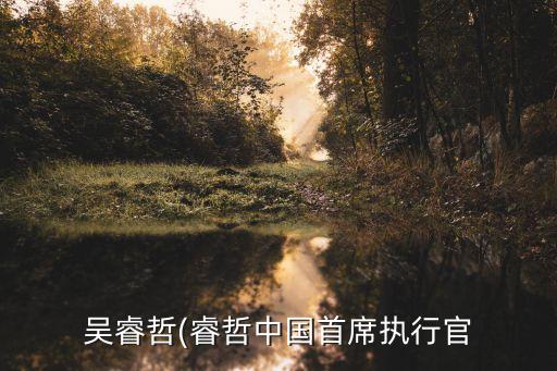 吳睿哲(睿哲中國(guó)首席執(zhí)行官