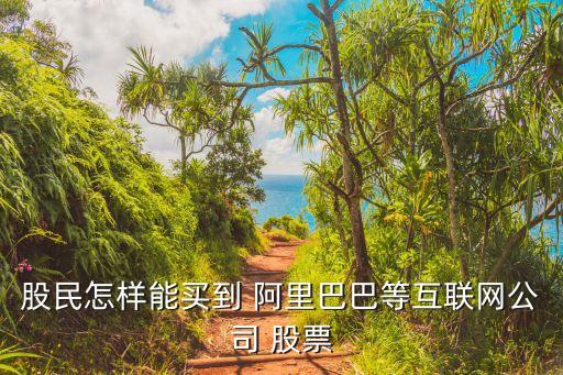 股民怎樣能買(mǎi)到 阿里巴巴等互聯(lián)網(wǎng)公司 股票