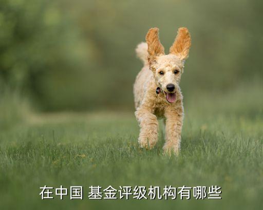 在中國 基金評級機構有哪些