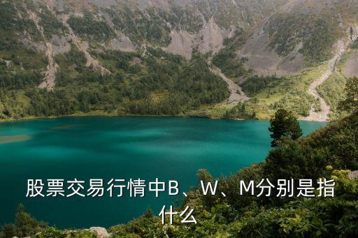  股票交易行情中B、W、M分別是指什么