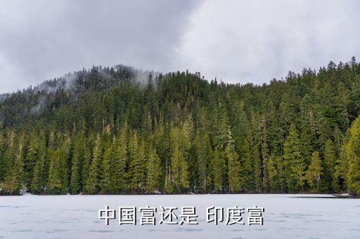 印度對比中國經(jīng)濟(jì),印度和中國經(jīng)濟(jì)世界排第幾位