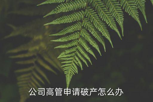 公司高管申請破產怎么辦