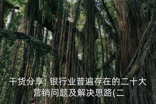 干貨分享: 銀行業(yè)普遍存在的二十大 營(yíng)銷問(wèn)題及解決思路(二