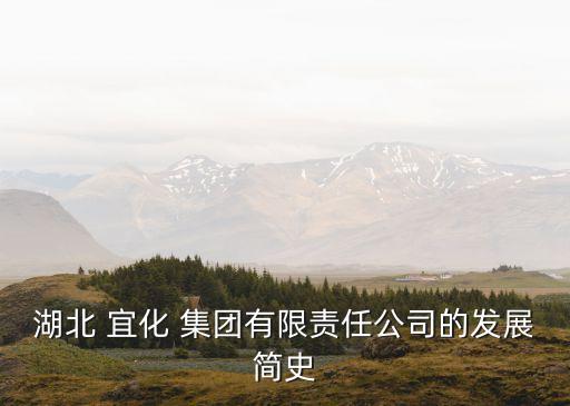 宜化集團高層領導名單,廈門路橋集團高層領導名單