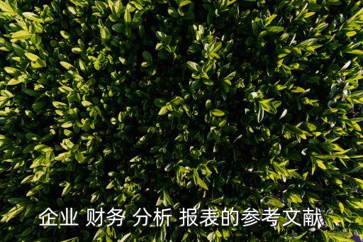 企業(yè) 財務 分析 報表的參考文獻