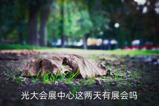 中國(guó)上海國(guó)際婚紗攝影器材展覽會(huì),上?；榧啍z影器材展2023時(shí)間
