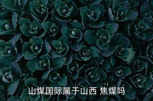 山煤國際屬于山西 焦煤?jiǎn)? class=