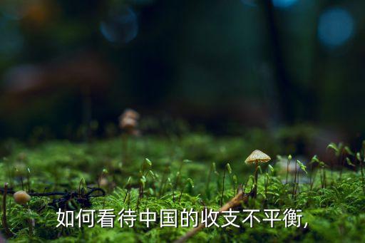 如何看待中國(guó)的收支不平衡,