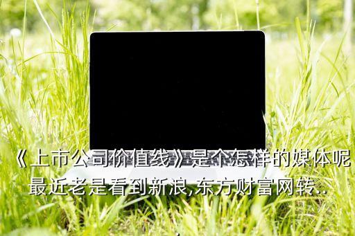 金字火腿股份有限公司招股說(shuō)明書