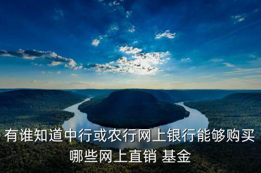 有誰(shuí)知道中行或農(nóng)行網(wǎng)上銀行能夠購(gòu)買(mǎi)哪些網(wǎng)上直銷 基金