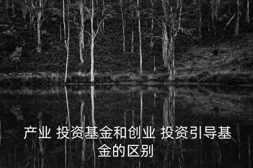 產(chǎn)業(yè)投資是投資的,財務投資和產(chǎn)業(yè)投資的區(qū)別