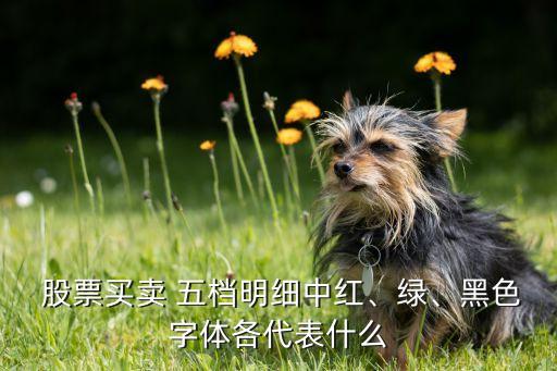  股票買賣 五檔明細(xì)中紅、綠、黑色字體各代表什么