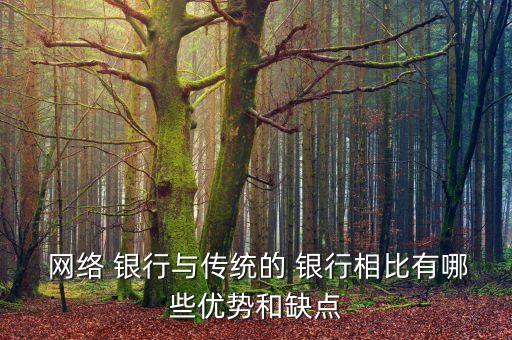 網(wǎng)絡 銀行與傳統(tǒng)的 銀行相比有哪些優(yōu)勢和缺點