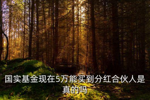 國實基金現在5萬能買到分紅合伙人是真的嗎