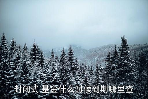 封閉式 基金什么時候到期哪里查