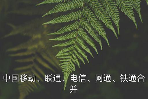 中國移動、聯(lián)通、電信、網(wǎng)通、鐵通合并
