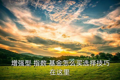  增強(qiáng)型 指數(shù) 基金怎么買(mǎi)選擇技巧在這里