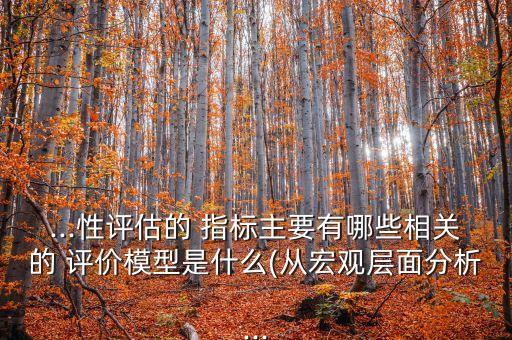...性評(píng)估的 指標(biāo)主要有哪些相關(guān)的 評(píng)價(jià)模型是什么(從宏觀層面分析...