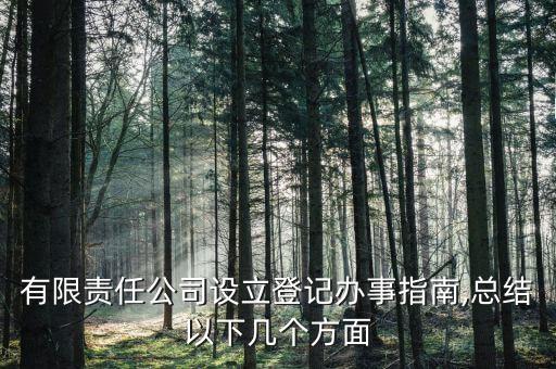 有限責(zé)任公司設(shè)立登記辦事指南,總結(jié)以下幾個方面