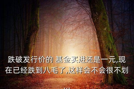 160119基金評(píng)論,南方中證160119基金凈值