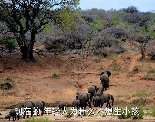 中國(guó)年輕人不愿意生育,年輕人不愿意生育無(wú)法達(dá)成共識(shí)了