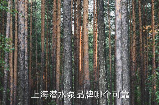  上海潛水泵品牌哪個可靠