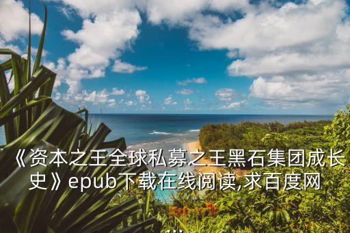 《資本之王全球私募之王黑石集團成長史》epub下載在線閱讀,求百度網...