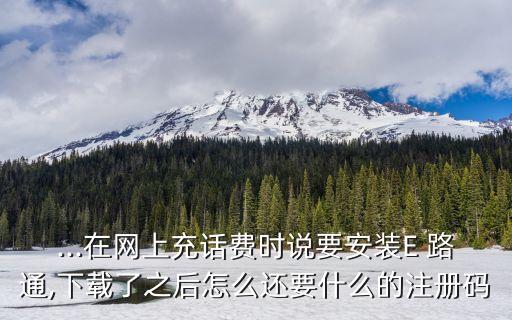 ...在網(wǎng)上充話(huà)費(fèi)時(shí)說(shuō)要安裝E 路通,下載了之后怎么還要什么的注冊(cè)碼