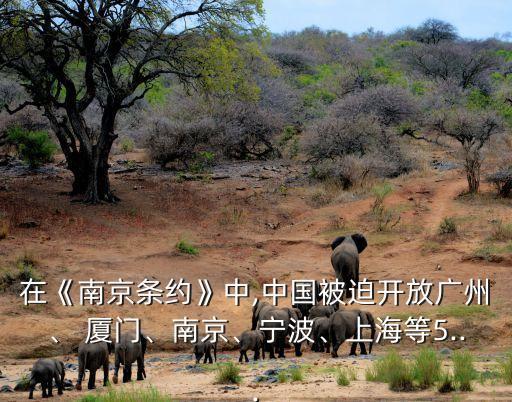 在《南京條約》中,中國被迫開放廣州、 廈門、南京、寧波、上海等5...