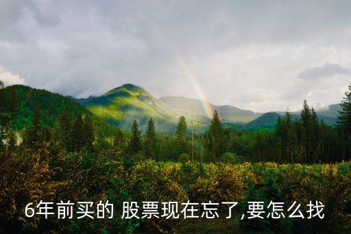6年前買的 股票現在忘了,要怎么找