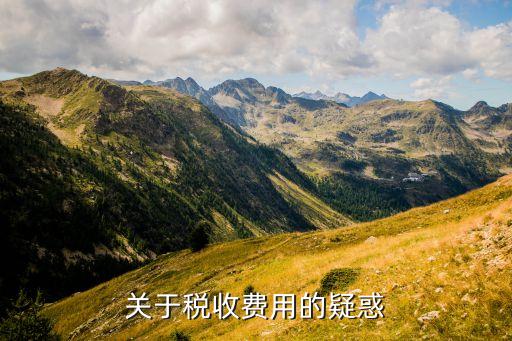 關于稅收費用的疑惑