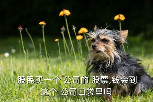  股民買(mǎi)一個(gè) 公司的 股票,錢(qián)會(huì)到這個(gè) 公司口袋里嗎