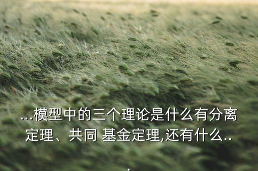 ...模型中的三個理論是什么有分離定理、共同 基金定理,還有什么...