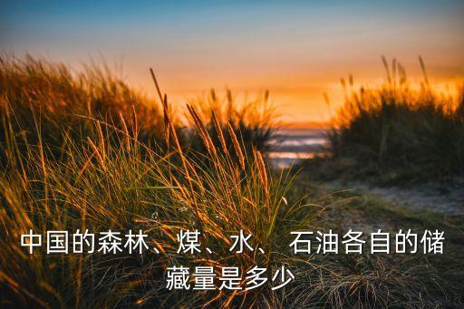 中國(guó)儲(chǔ)了多少石油,中國(guó)國(guó)儲(chǔ)石油怎么樣