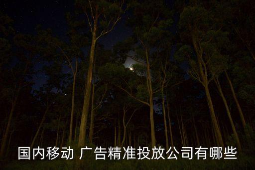國內移動 廣告精準投放公司有哪些