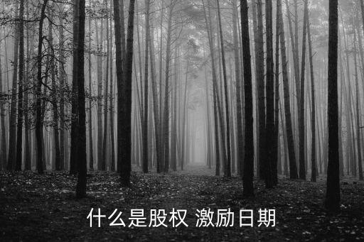 什么是股權 激勵日期