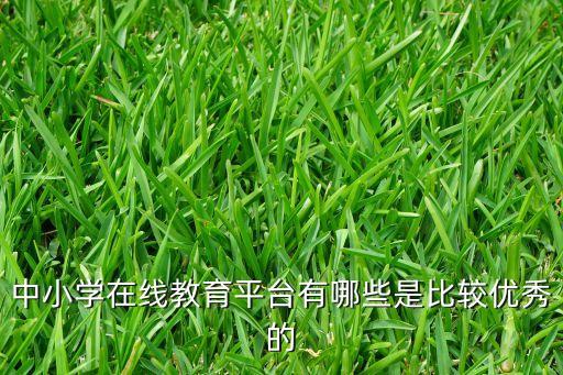中小學(xué)在線(xiàn)教育平臺(tái)有哪些是比較優(yōu)秀的