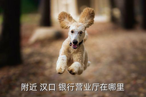 附近 漢口 銀行營(yíng)業(yè)廳在哪里