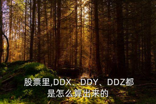  股票里,DDX、DDY、DDZ都是怎么算出來的